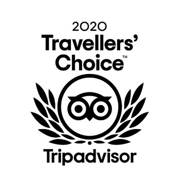 Tripadvisor 2020